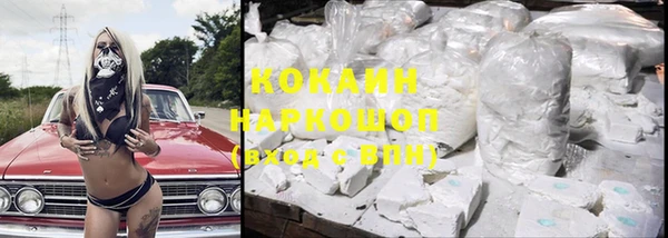 СК Бронницы